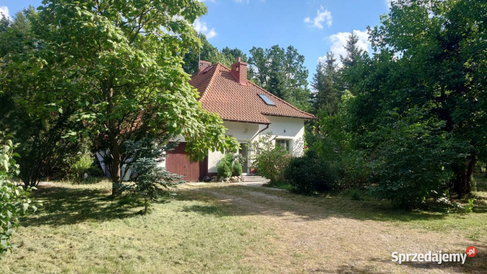 Wynajmę stylowy dom 10 Warszawy Siestrzeń