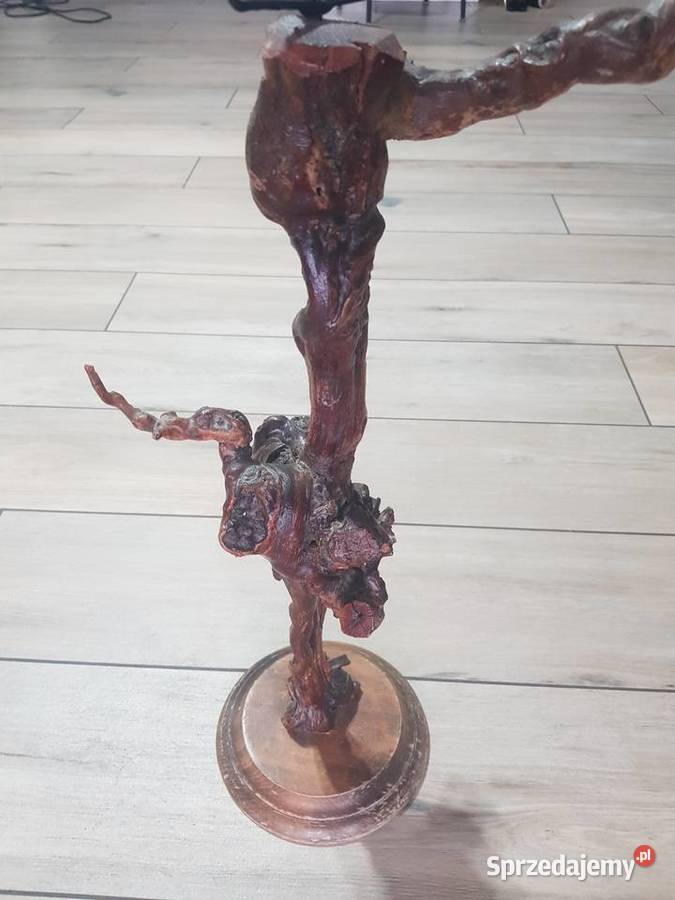 Kwietnik z korzenia winorośli Wola Podłężna