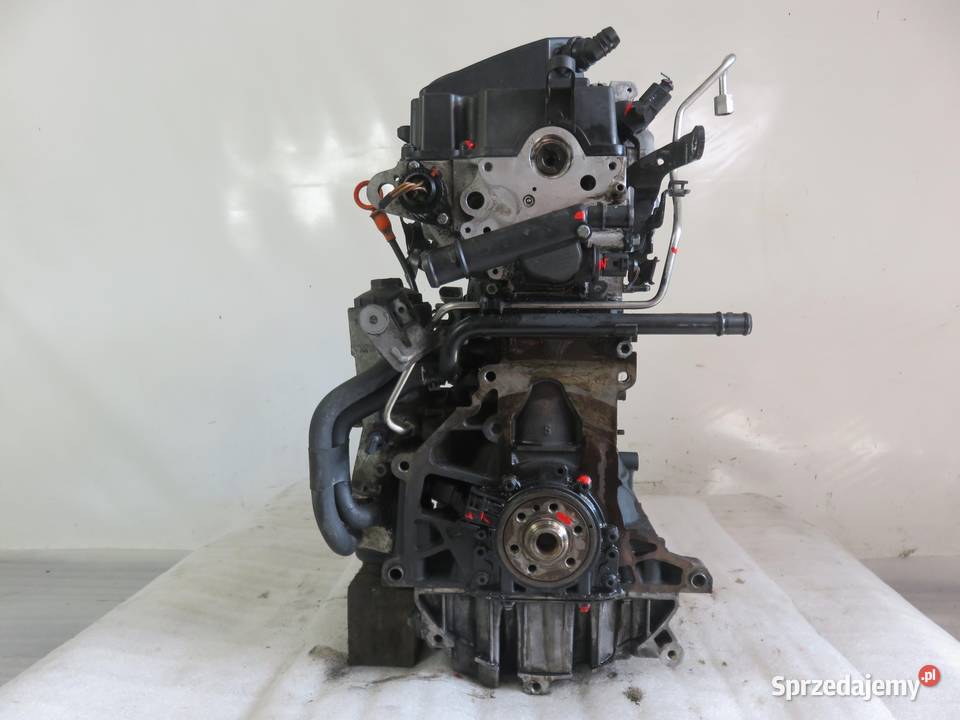 SILNIK VW CADDY III 19 TDI 105 BLS 038130079TX