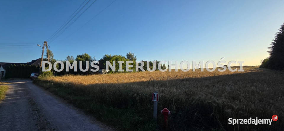 Grunt 9800m2 Rogów