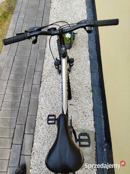Rower koła 26 Łoś