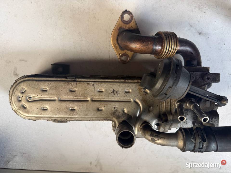 Chłodnica spalin BOSCH 038131513J VW PASSAT SEAT