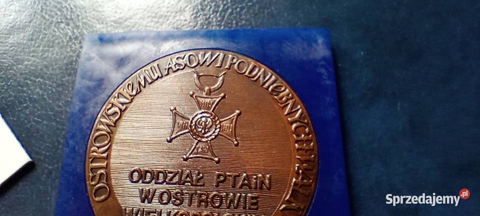Stare monety Medal Polska Batalion 303 89 Lesko sprzedam