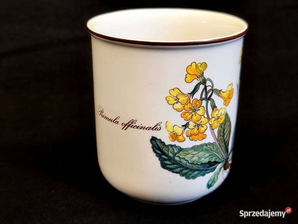 Pojemnik Villeroy Boch Botanica lubelskie Chełm sprzedam