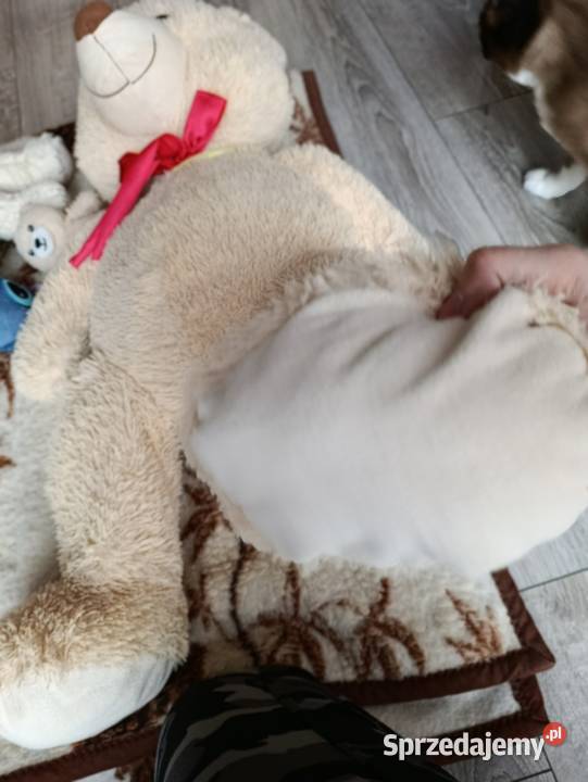 miś pluszak w odcieniach żółtego 90 Poznań