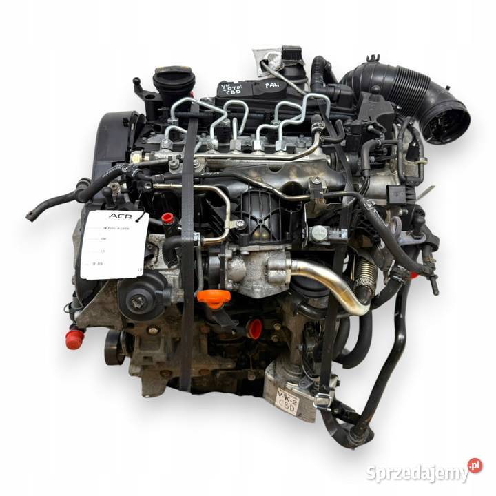 SILNIK CBD CBDC VW Golf VI Golf V Plus Passat B6 osobowe lubelskie Chełm