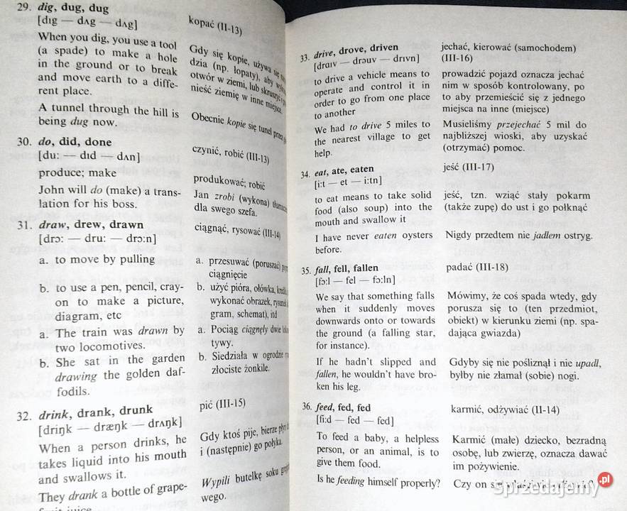 Leksykon angielskich czasowników nieregularnych Chełm sprzedam