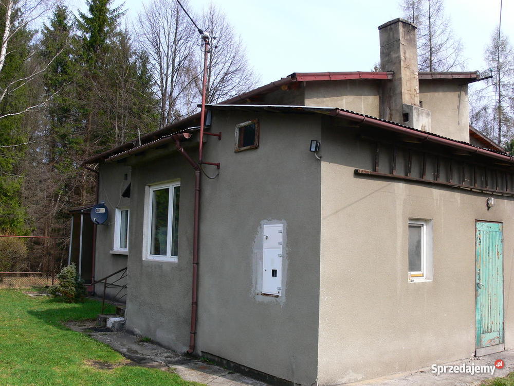 Dom z ogrodem Sławków