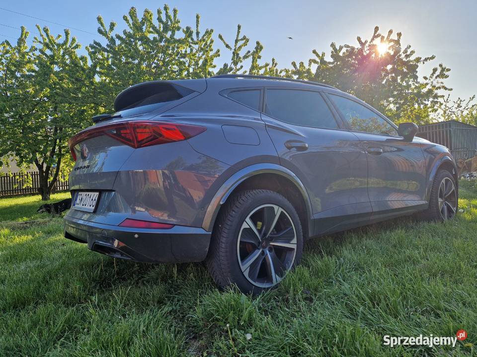 Cupra Formentor 15 TSI Nowe