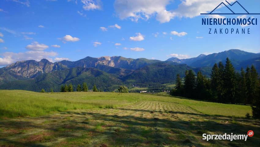 Grunt do sprzedania 2749m2 Kościelisko Sprzedaż