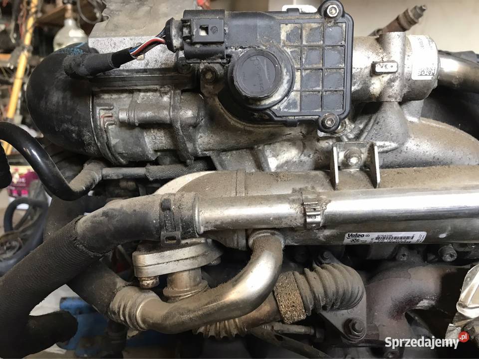 Części audi A4b7 140 koni Pozostałe Łososina Dolna