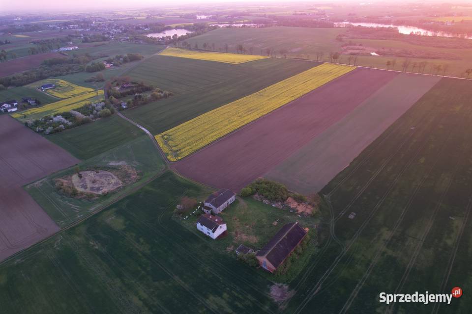 Działka siedliskowa o powierzchni 070 ha Gruta
