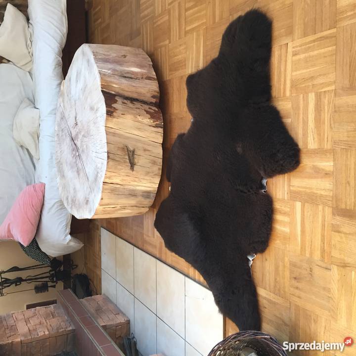 Stolik drewniany pien Wrocław