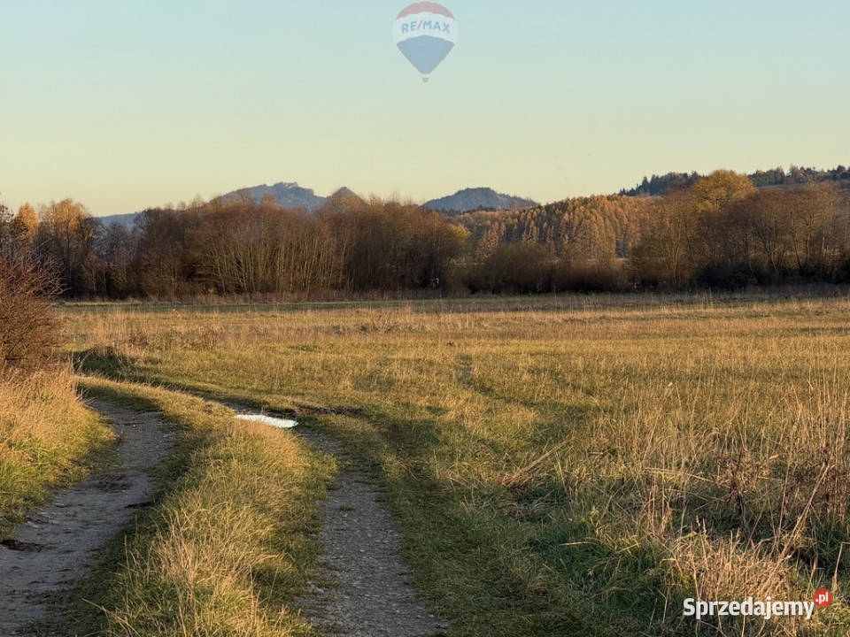 Nieruchomość gruntowa Frydman 8m