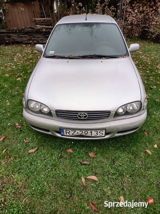 Corolla E11 Corolla Rzeszów