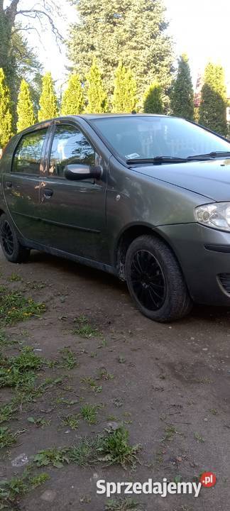 Fiat Punto II FL 2005 Doinwestowany Rok produkcji 2005 Przerzeczyn-Zdrój sprzedam