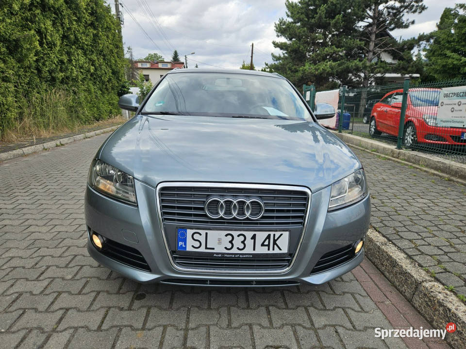 Audi A3 Lifcie Klima 2 strefowa rozrządzie Ruda Śląska