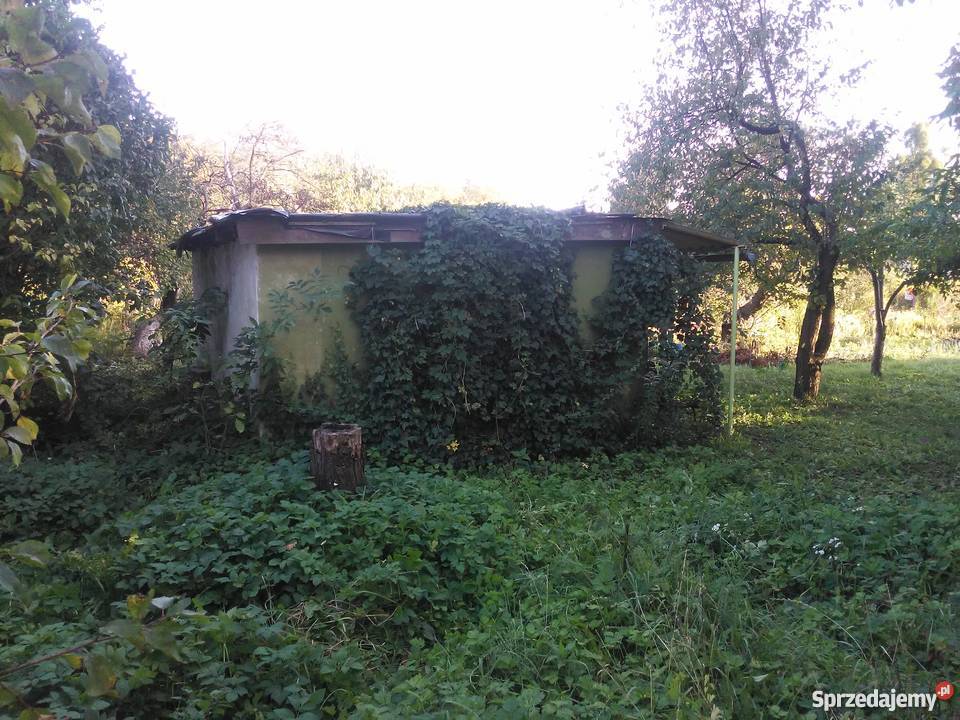 Działka ROD Zamku w Malborku asfalt Malbork sprzedam