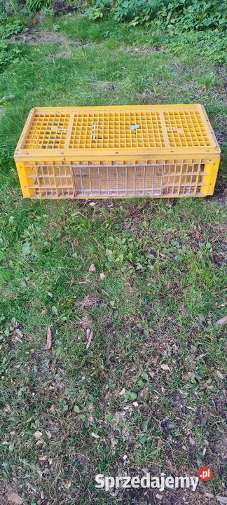 Klatka transportowa kurgołębi drobiu śląskie