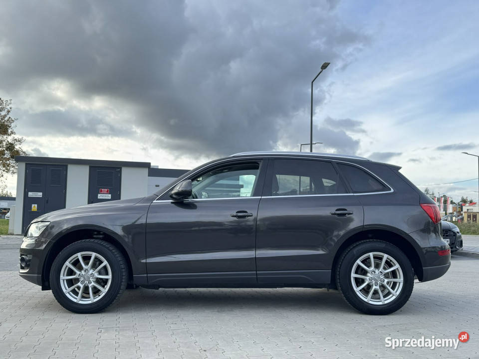 Audi Q5 20 TDI 170 LED Biksenon Nawigacja Skóra Mrągowo