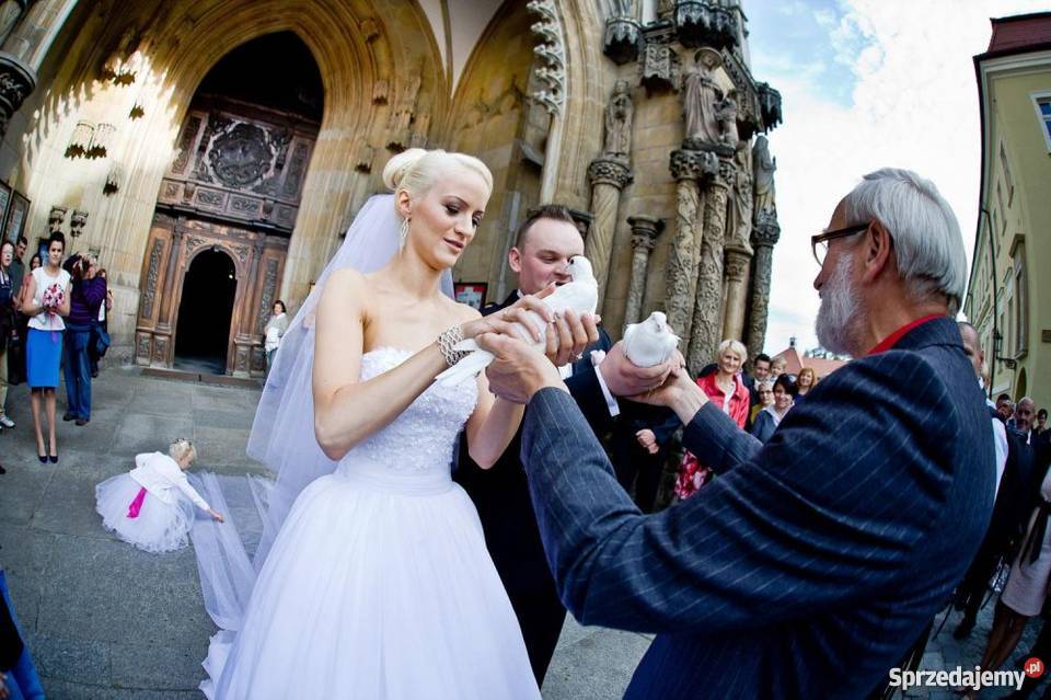 Białeślubne gołębie wojdolnośląskie i opolskie Opole