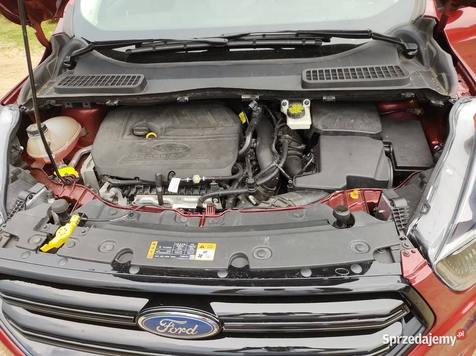 Ford Kuga 15 EcoBoost Black Edition Ruby Red 4/5 Kościerzyna