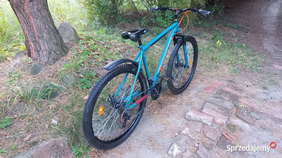 Rower Górski Mtb Młodzieżowy Discovery Rider Wołów