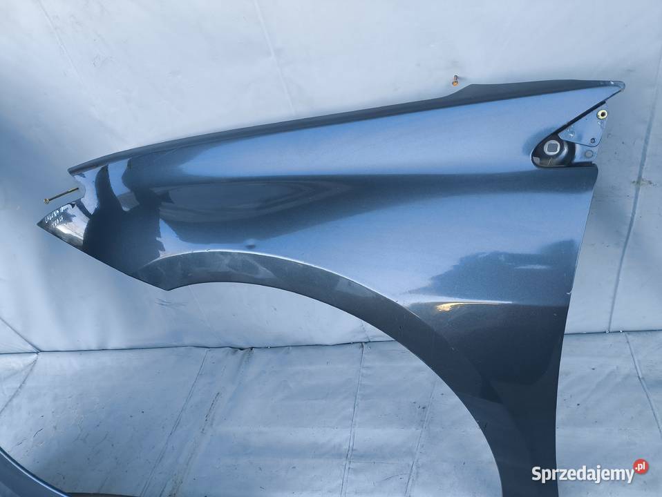 RENAULT LAGUNA III 3 BŁOTNIK LEWY PRAWY PRZEDNI osobowe