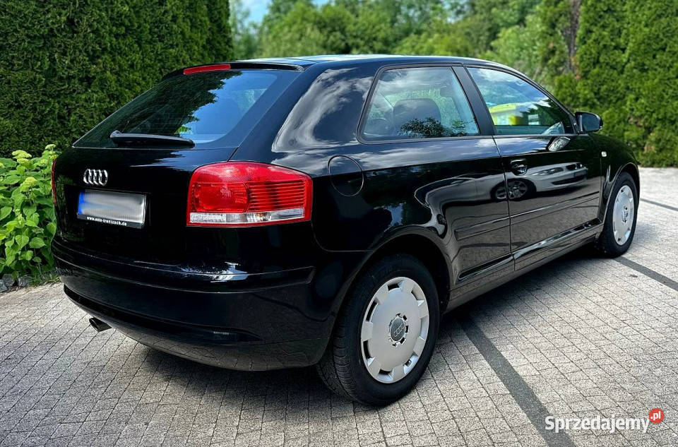 Audi A3 3drzwiowe Audi A3 8P 16 MPI 101 Czarna 153000km dolnośląskie