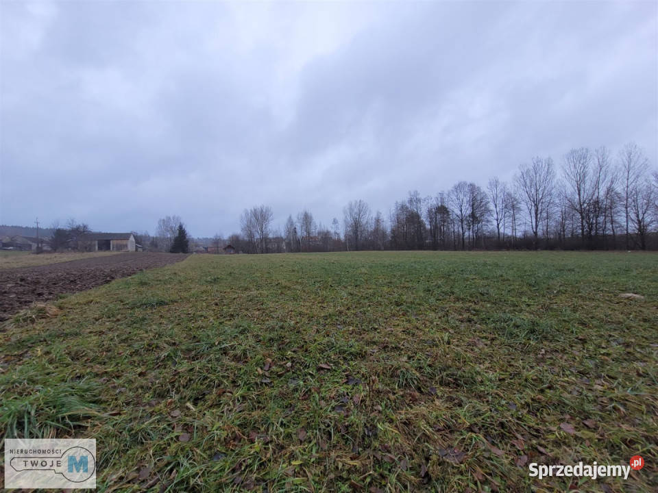 sprzedaży działki Bodzentyn 4800m sprzedam