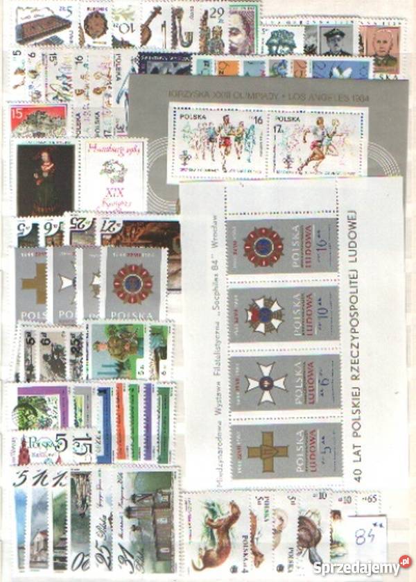 Zn Rocznik 1984 Gliwice