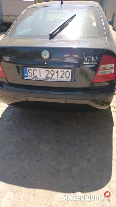 Skoda Octavia 19TDI 2007r 310000km Octavia Głubczyce