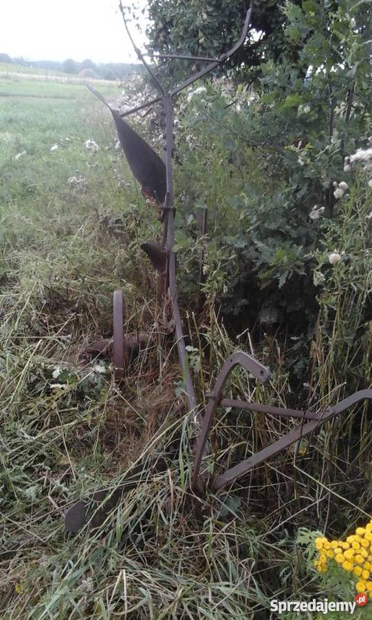 Pług konny zabytekdwu skibowy obrotowy ozdoba do Gorzów Śląski