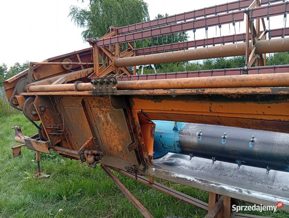 Sprzedam bizona ZO56 Boczki Chełmońskie