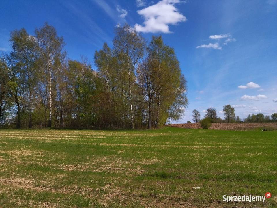 Działka budowlana na mazurach 52zł/m2 warmińsko-mazurskie Łączno