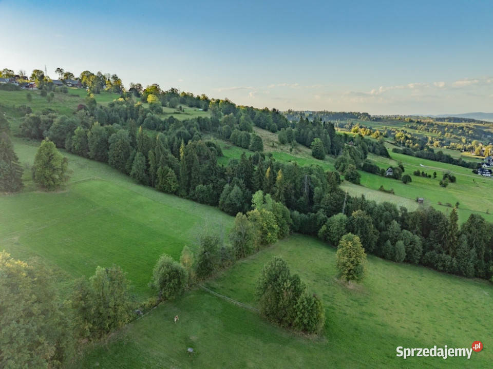 Działka rolna Biały Dunajec Dańkowe małopolskie