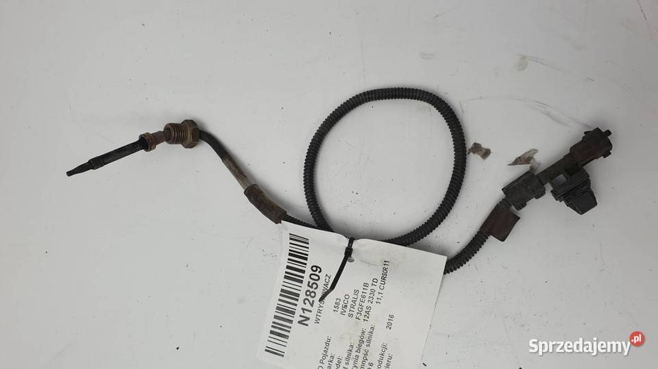 SONDA SNBDARTS200A STRALIS AS440T kujawsko-pomorskie Lipno