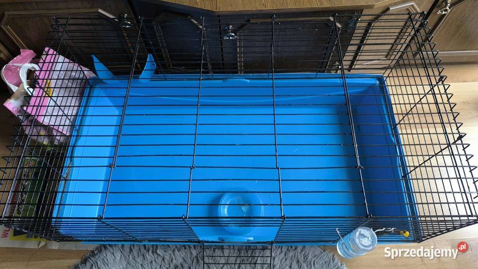 Duża klatka królika innego gryzonia 100 x 50 x sprzedam