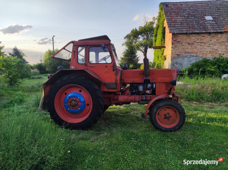 Mtz 80 bdb stan z Niemiec pełna dokumentacja tüv