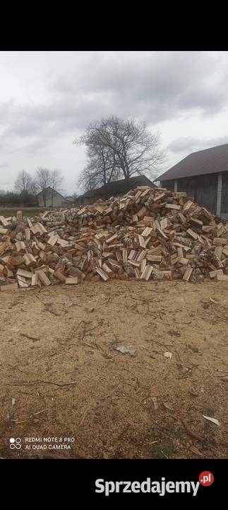 Drewno kominkowe opałowe brzoza dąb sosna Skarżysko-Kamienna