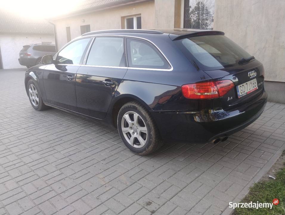 Audi a4 b8 Plesewo