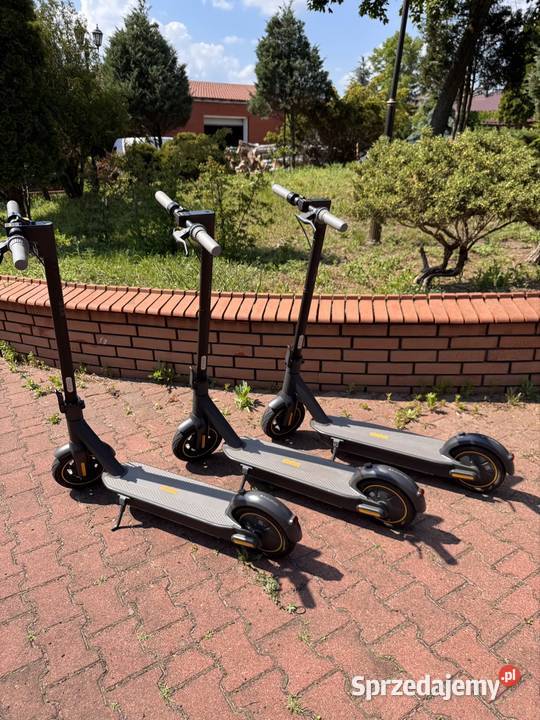 Ninebot g30