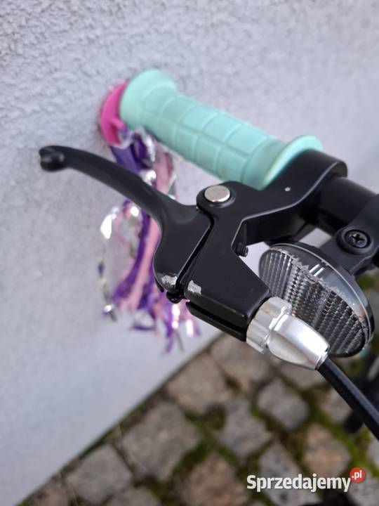 Rower Trek Precaliber 16 Dziecięce lubuskie