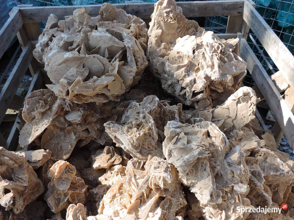 Róża Pustyni Kamień do akwarium bryła do ogrodu Oświęcim