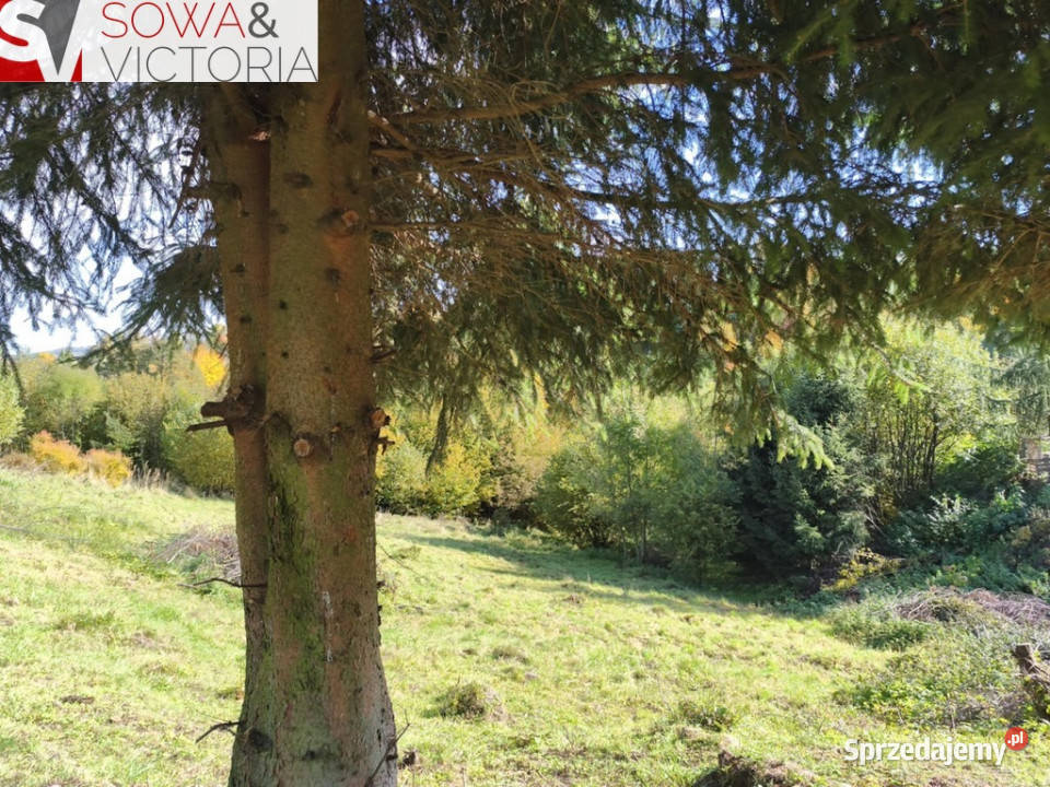 Kameralne miejsce z pięknym widokiem dolnośląskie Niedźwiedzica sprzedam