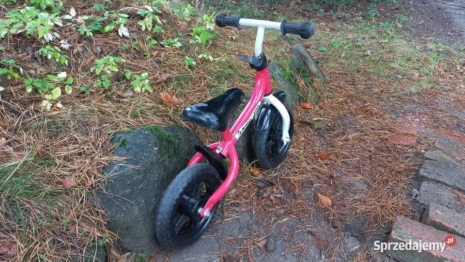 Rower Dziecięcy Rowerek Biegowy Avigo dziecka w