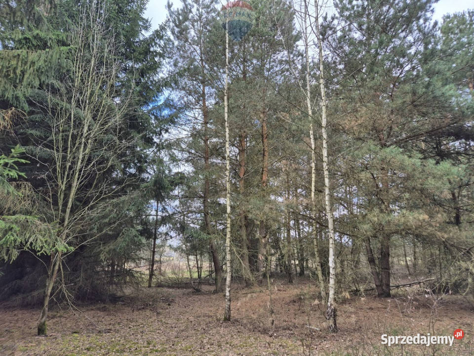 2z5 Działka budowlana 1434 m2 Kuklówka Radz 29m Sprzedaż Kuklówka Radziejowicka