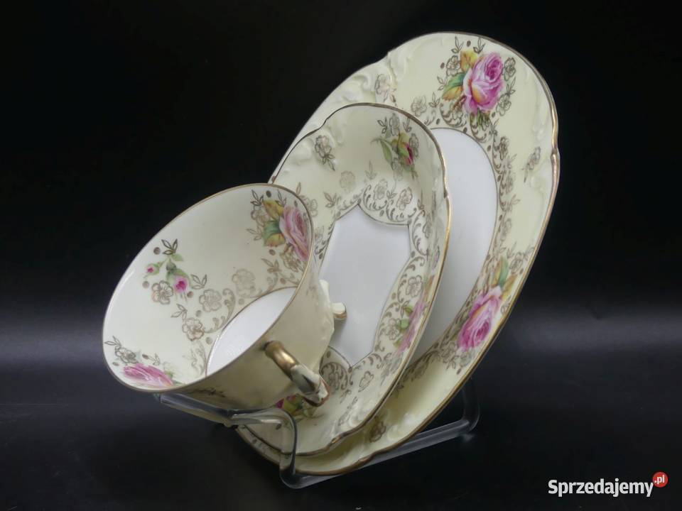 Zjawiskowe różane trio Tułowice Tillowitz 1928 wielkopolskie Poznań