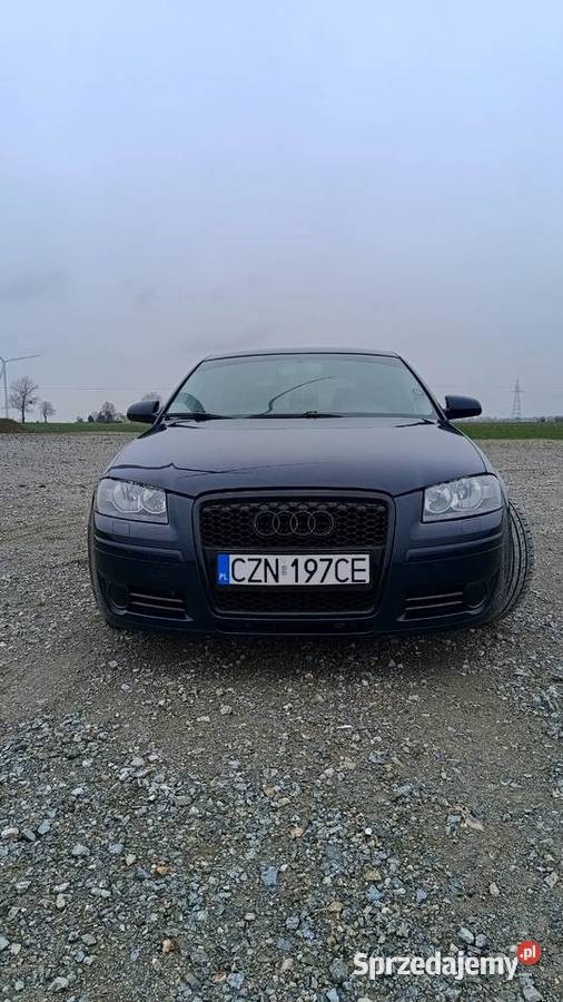 Audi A3 8P 20TDI 140200 2003r 395km Żnin