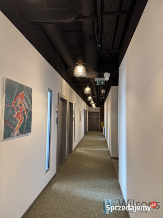wynajmu lokalu 50m2 Warszawa